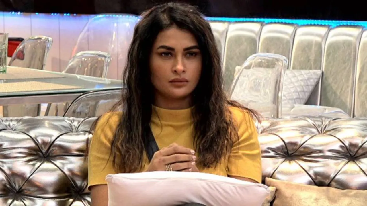 Bigg Boss 14: Has Pavitra Punia Done Lip Surgery?