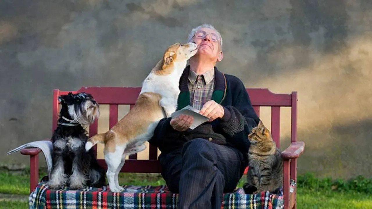 Pets help boost health of older people: Study