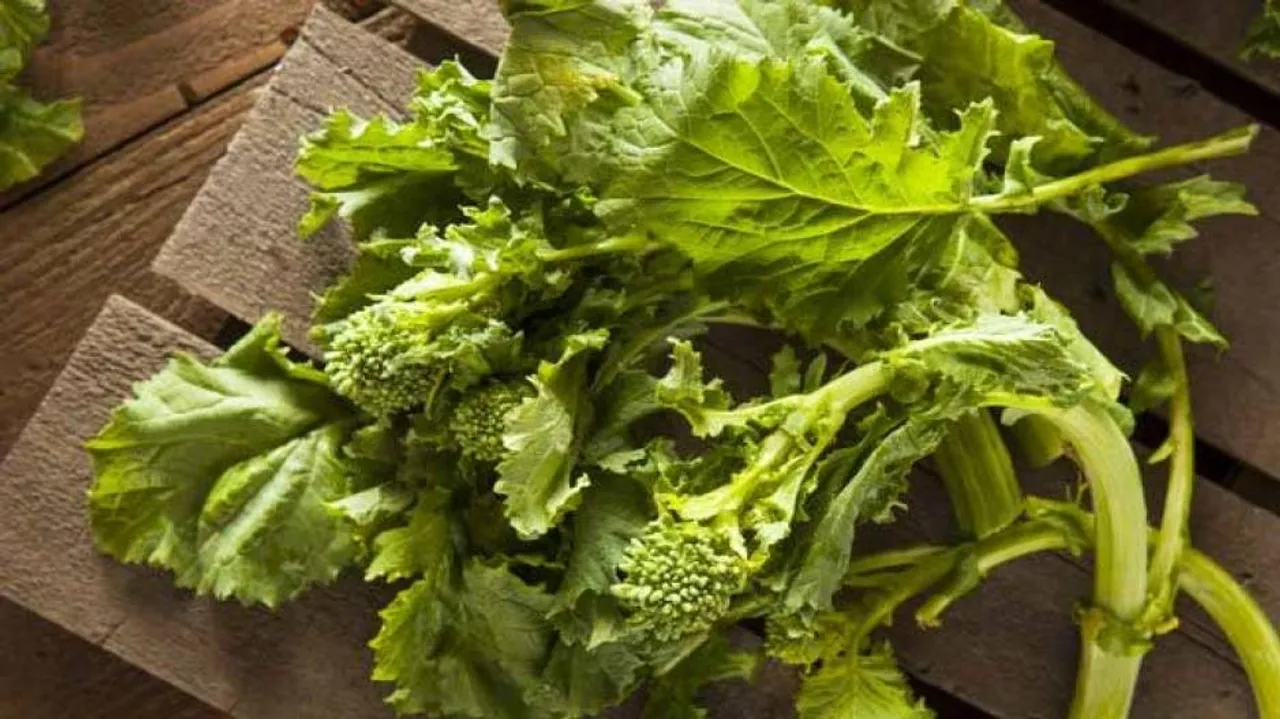 Swapping red meat for plants lead to longer life