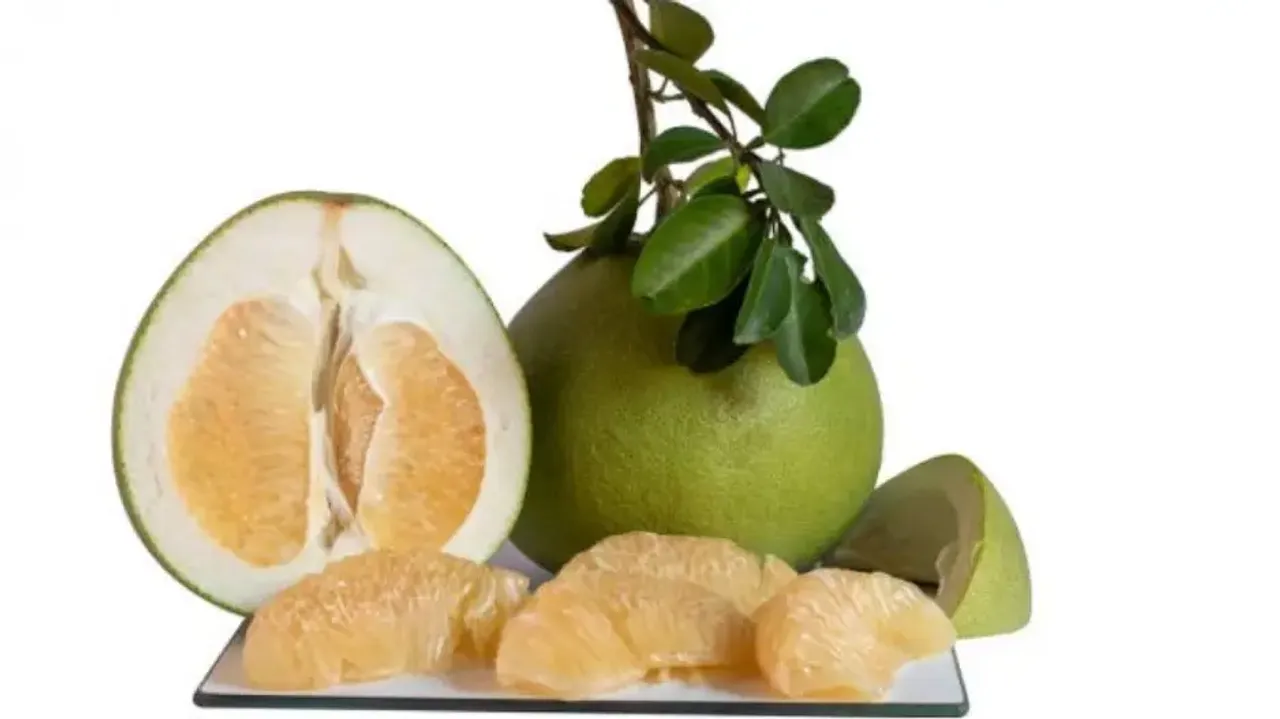 Pomelo