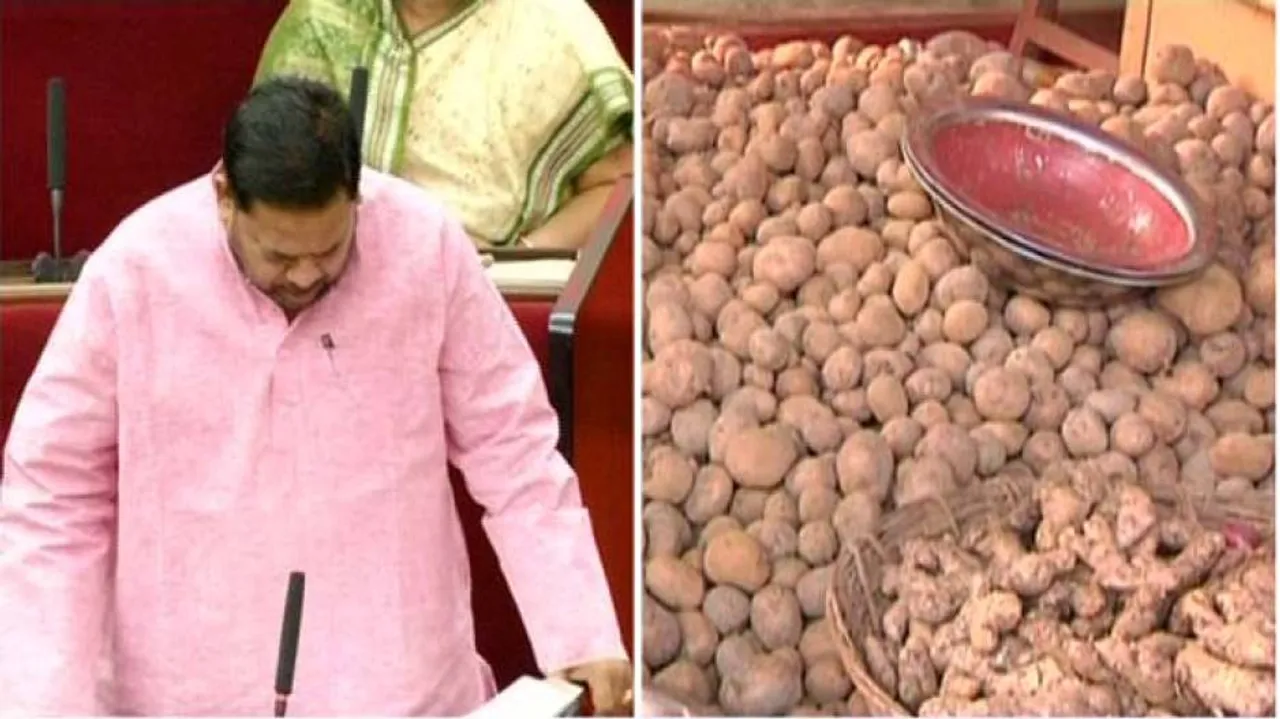 Potato Mission not a failure in Odisha: Pradeep Maharathy