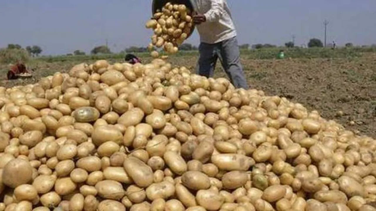 PepsiCo withdraws case against Gujarat potato farmers