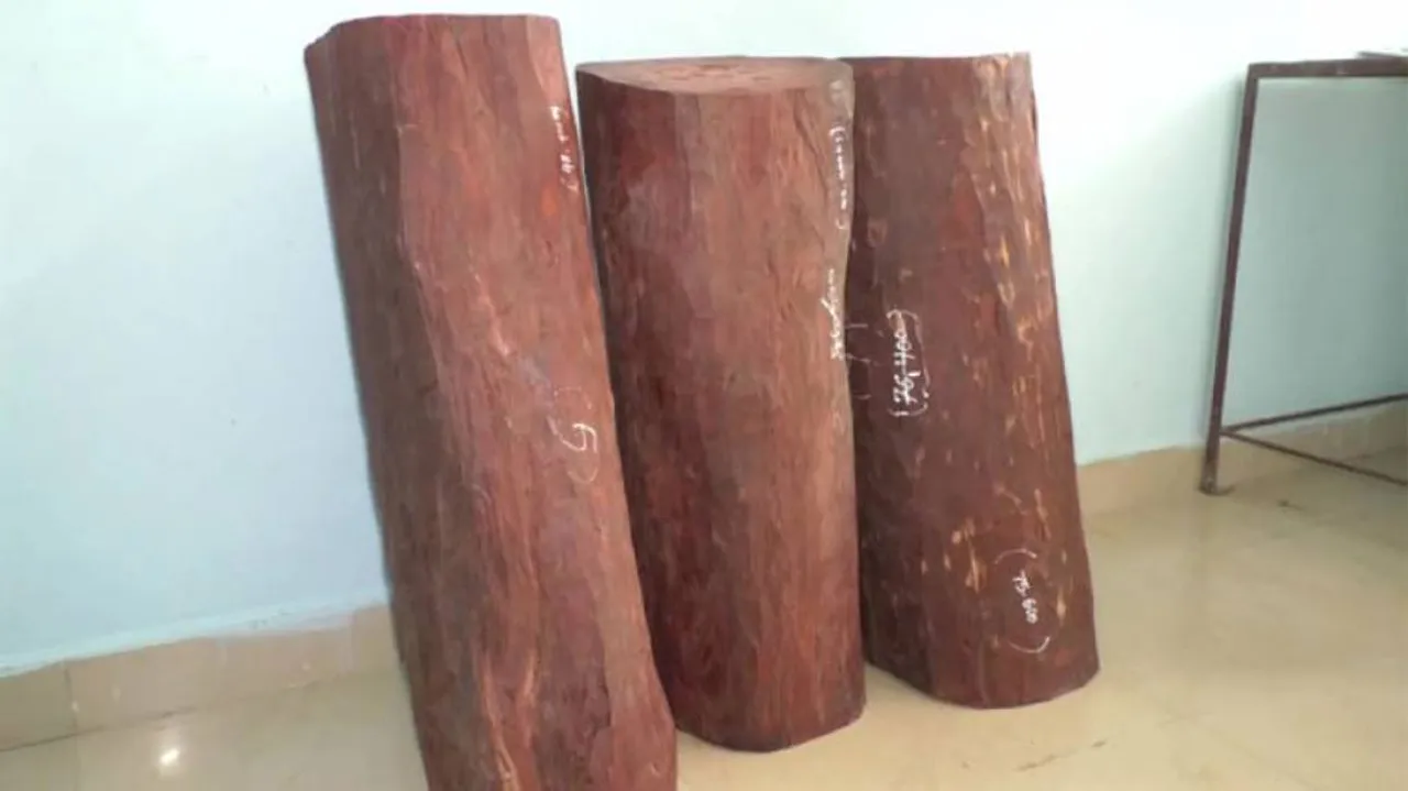 Odisha:Red Sandalwood Smuggling Racket Busted In Gajapati, 2 Arrested