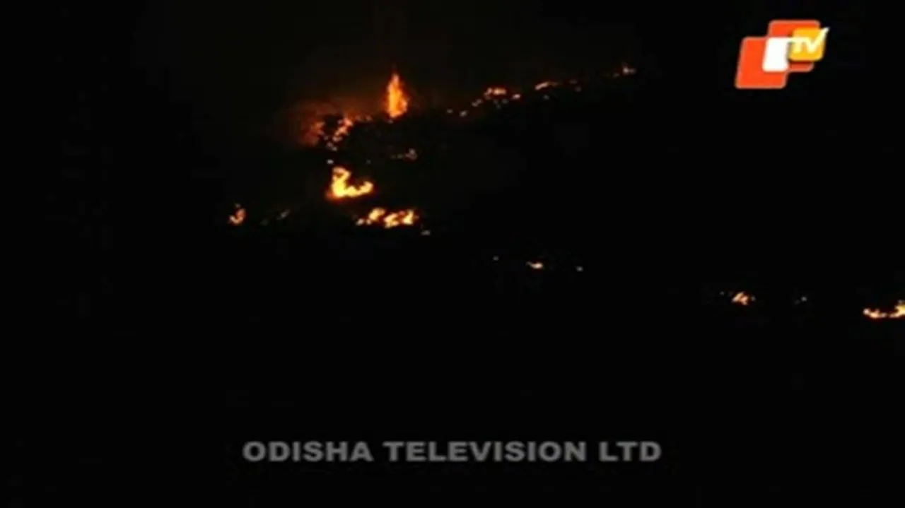 Fire in Rukhi hill forest brought under control