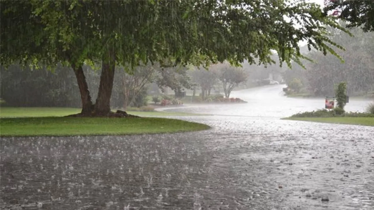 Heavy rains in north Odisha in next 24 hours