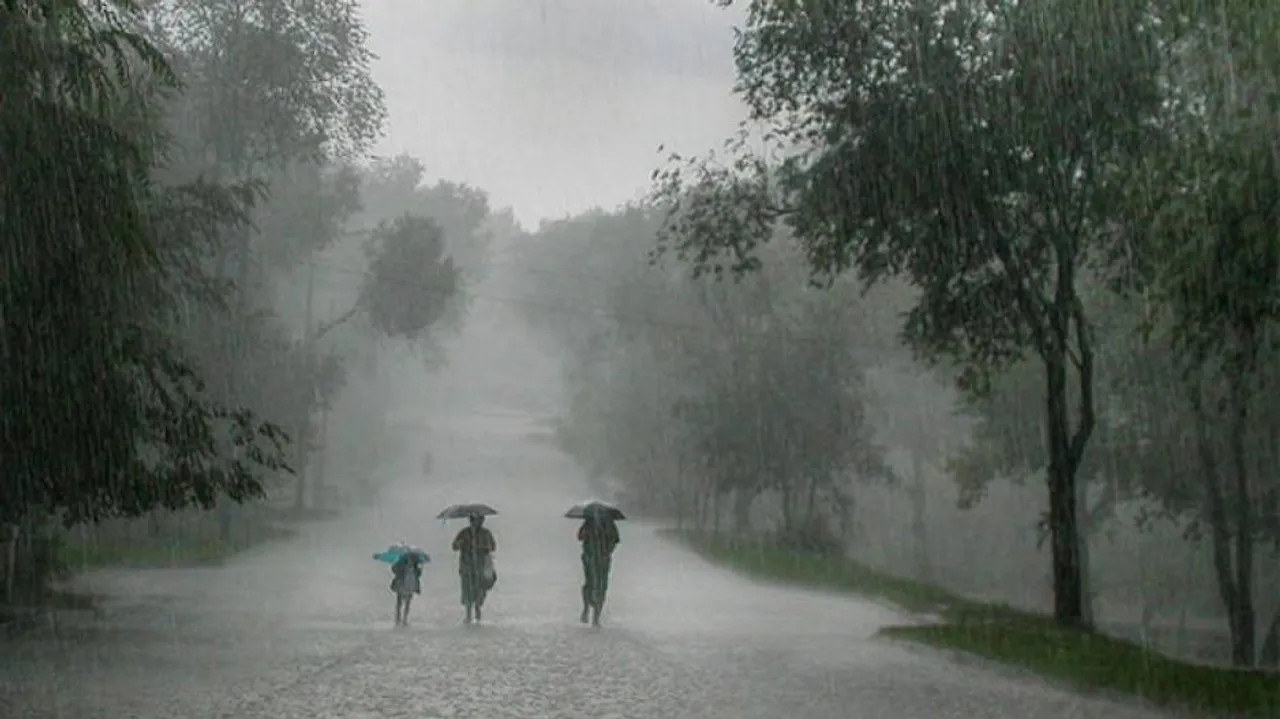 IMD predicts heavy rains in next 24 hours