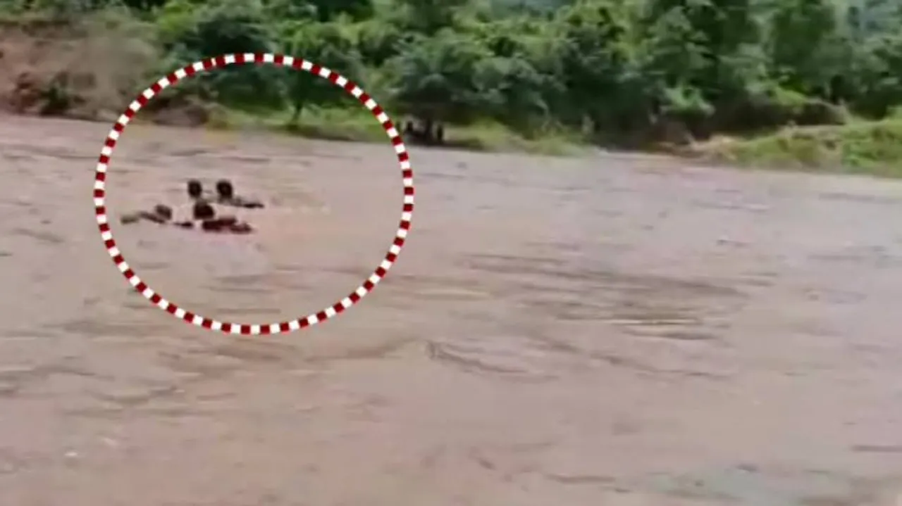 Watch : Anganwadi Workers Cross Flooded River Dangerously To Attend Duty