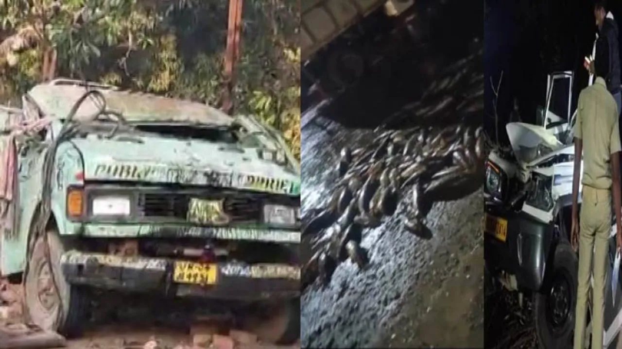 2 Killed, 4 Injured In Separate Road Mishaps In Odisha
