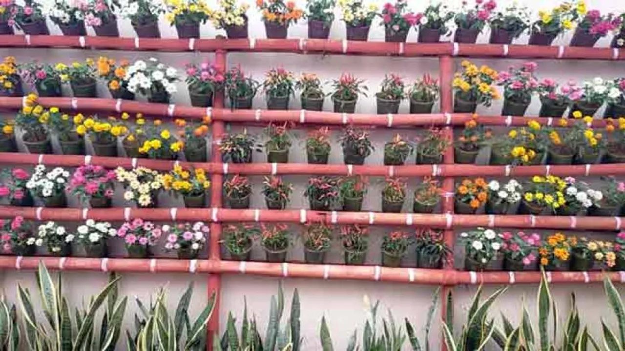 Canvas Of Blossoms: Odia RPF Official Creates Incredible Rooftop Garden