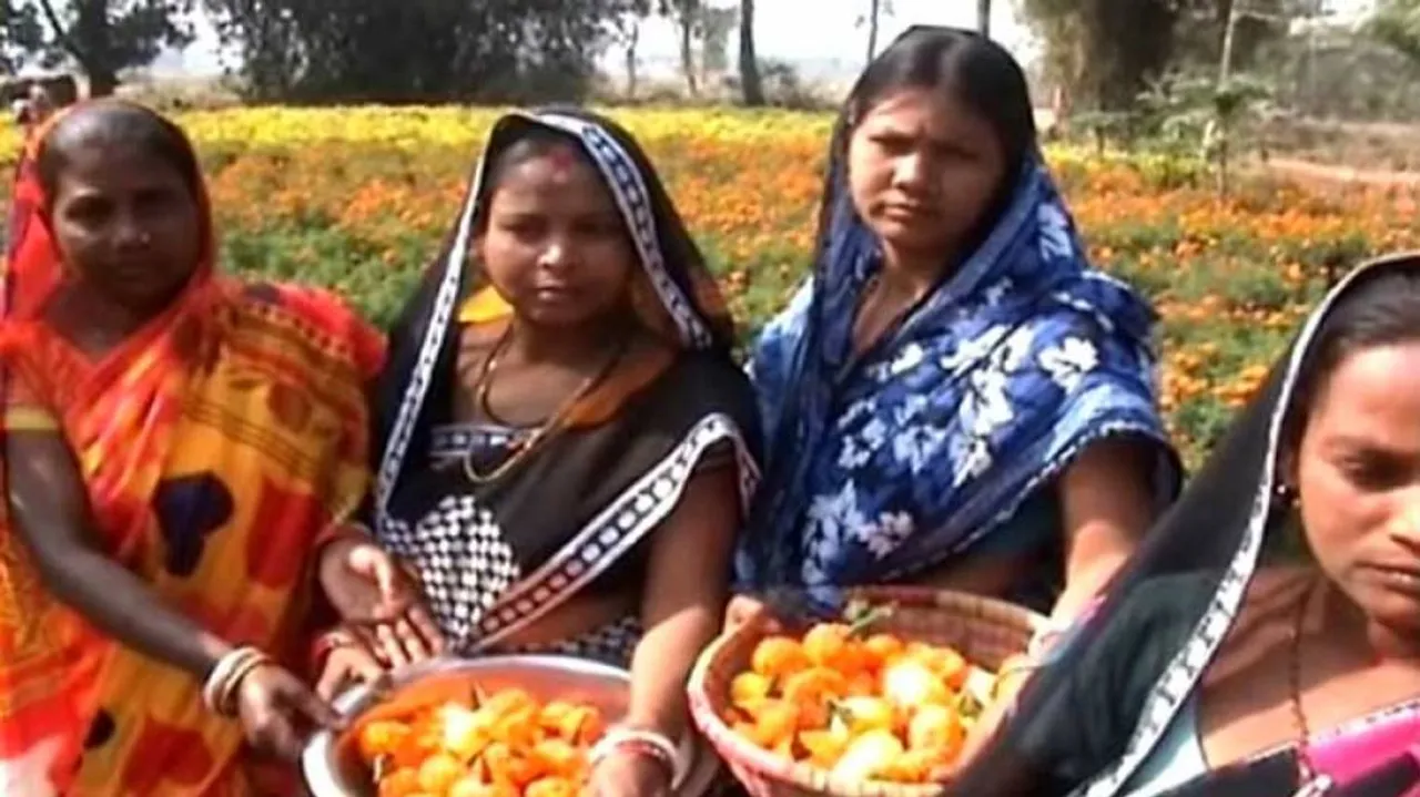 Flower cultivation helps women members of SHG to remain self-dependent