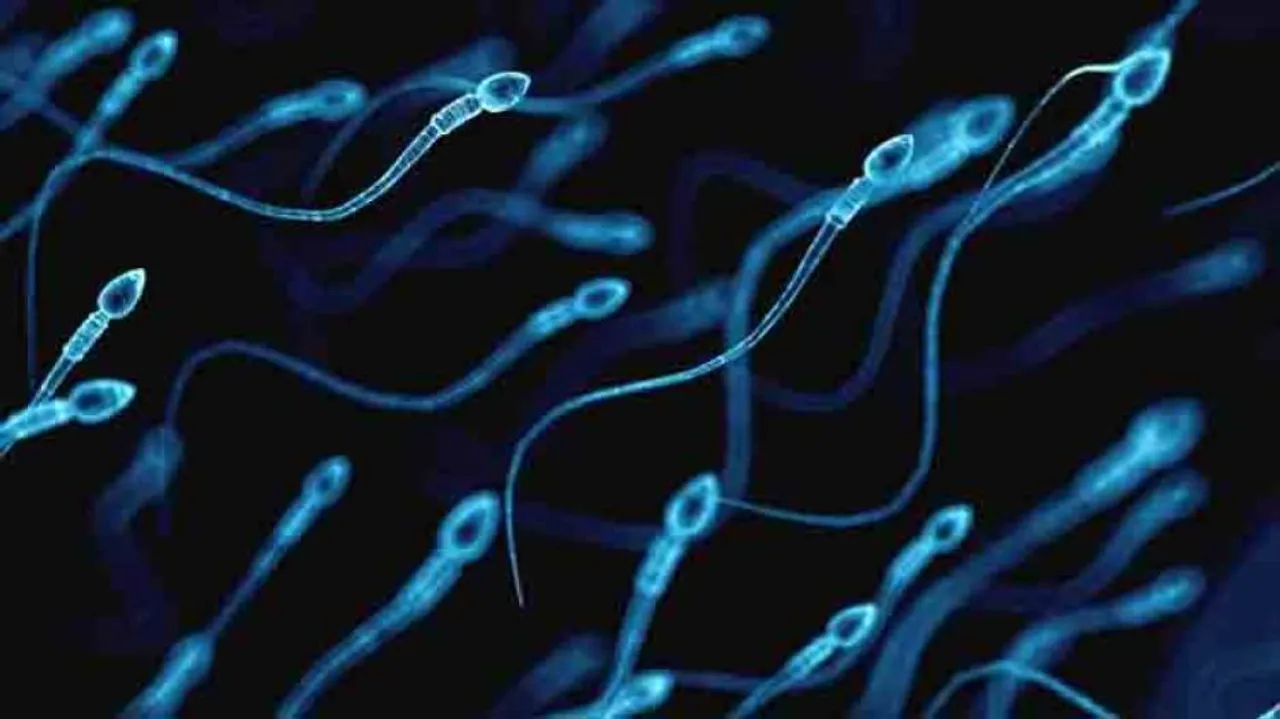 Endogamy may up infertility risk in Indian men, says study