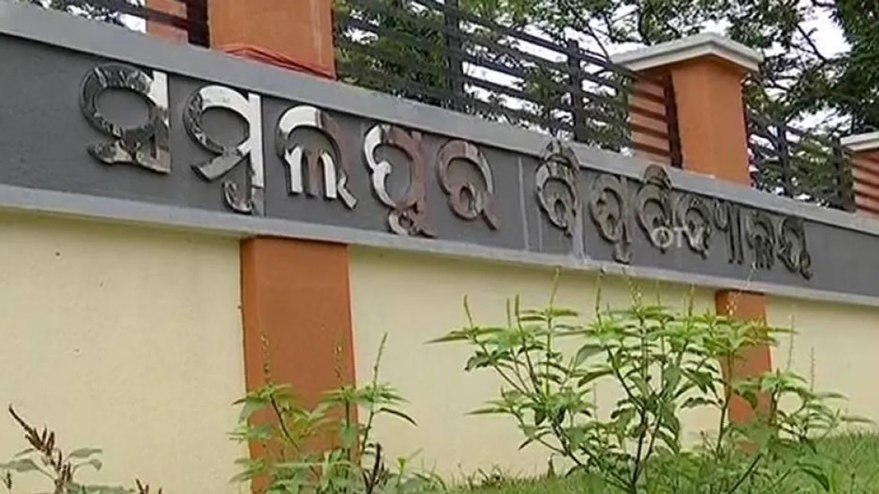 Sambalpur Varsity Bags Patent For Millet-Based Cake Mix