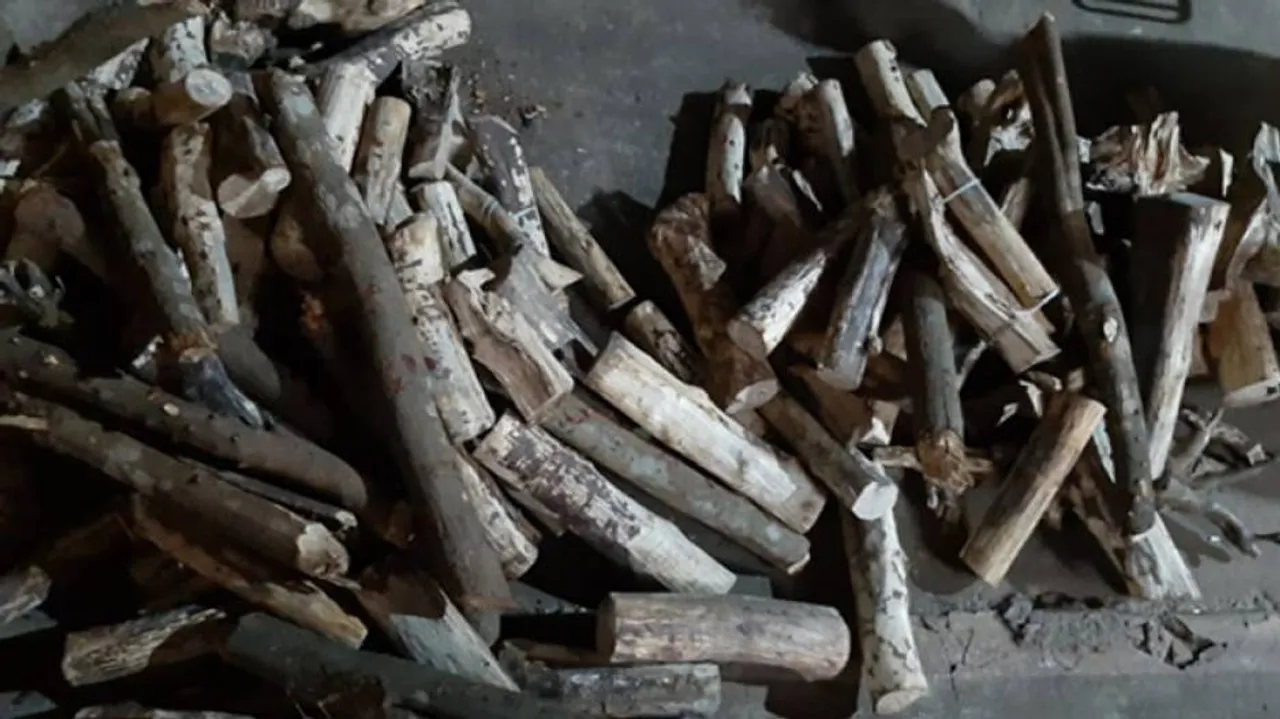 Sandalwood Worth Rs 70 Lakh Seized In Odisha, 3 Smugglers Arrested