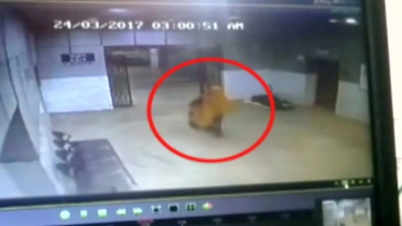 Search on for stolen baby boy