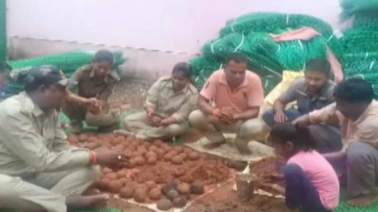 With Seed Balls, Forestation In Odisha Sees A New Ray Of Hope