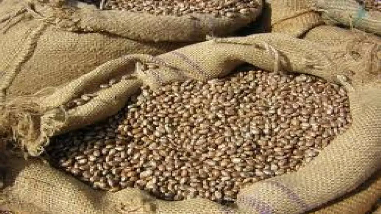 Inquiry ordered into supply of substandard seeds to farmers