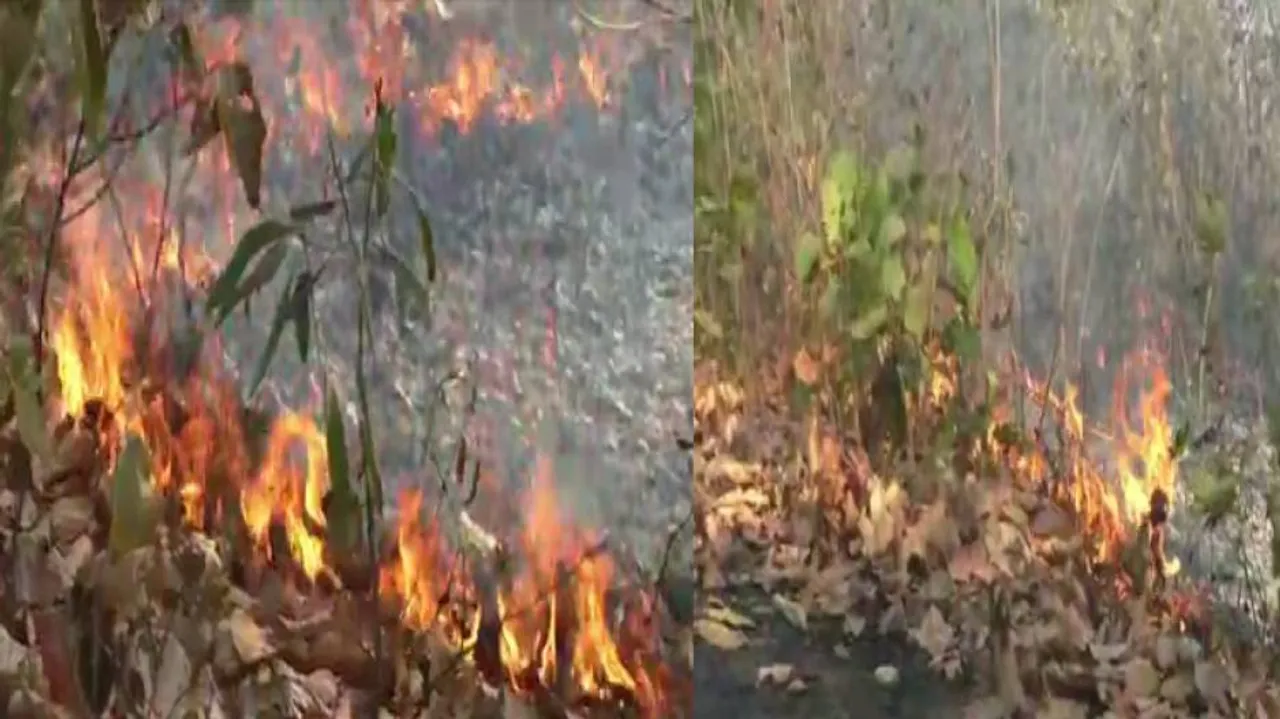 Similipal Wildfire: BJP Sends Delegation To Take Stock Of Situation