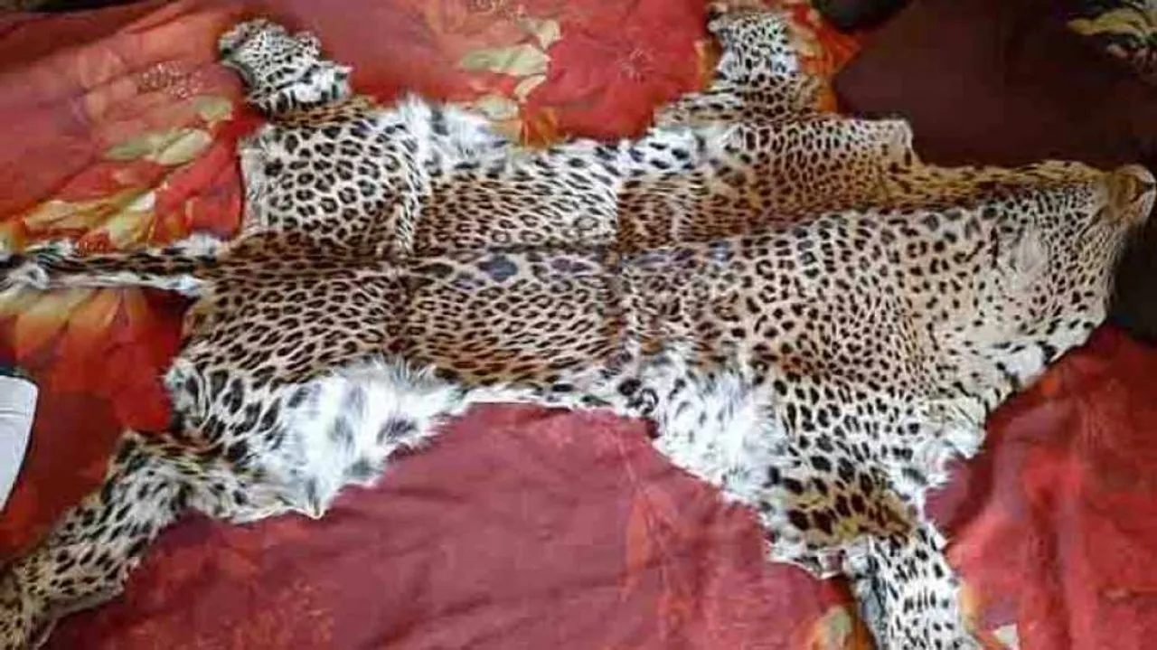 NTCA concerned over rampant leopard skin smuggling in Odisha