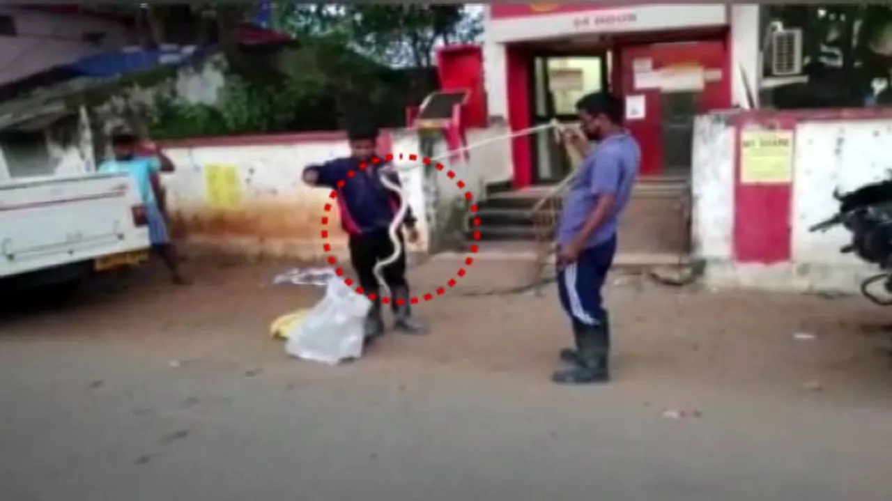 Watch: 5 Feet-Long Cobra Found Inside ATM Kiosk in Sambalpur; Rescued After 4 Days