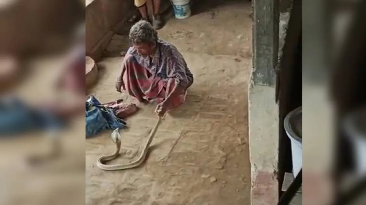 Snake Charmer Dies In Odisha After Cobra Bite, Video Goes Viral