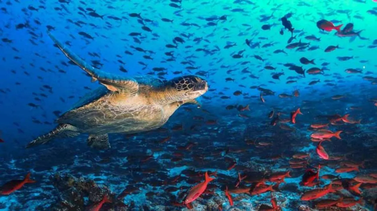 A million species threatened with extinction: IPBES