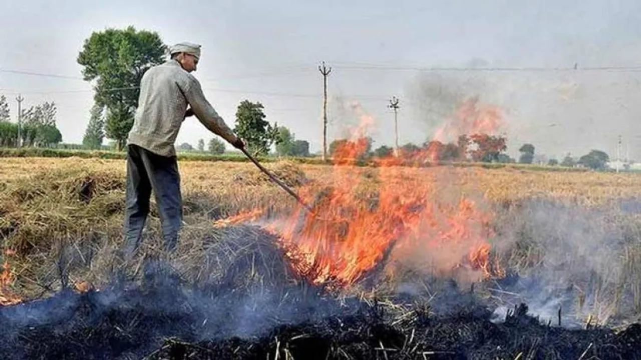 How To Avoid Stubble Burning: Rice Producer Odisha