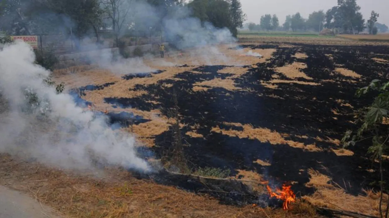 40% Of Delhi Pollution Caused By Stubble Burning