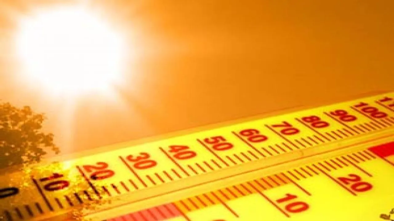 July 2021 Officially The Hottest Month Humans Ever Recorded