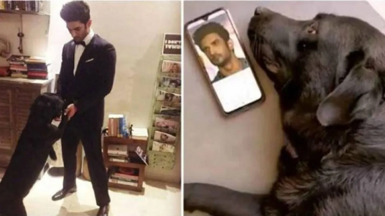 Sushant Singh Rajput’s Pet Dog Fudge ‘Dies’ After Shunning Food Following Actor’s Death