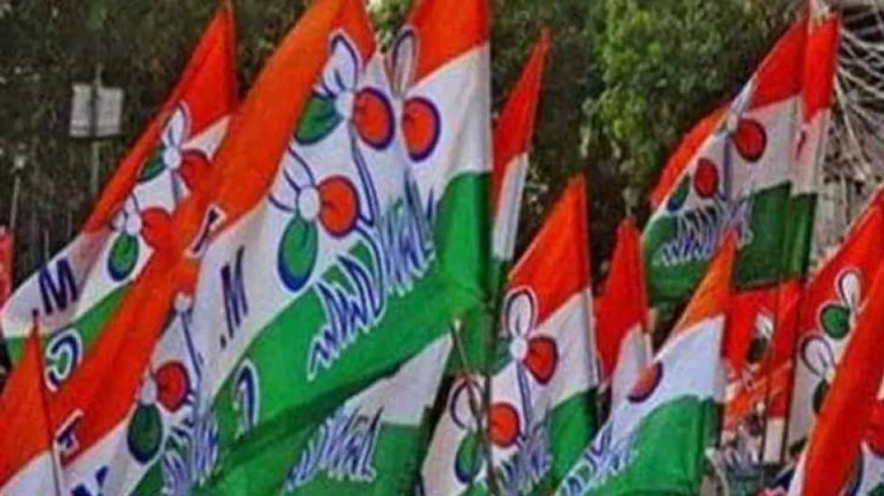 MLAs' defection to BJP a minor issue, party will bounce back in 2021: Trinamool
