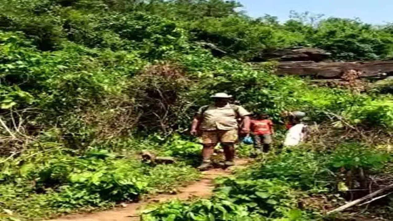 'Threatened' Odisha Tribal Family Takes Refuge In Cave In Jharkhand