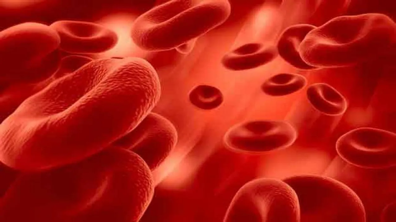 Thalassemia patients demand free medicines, reservation in jobs