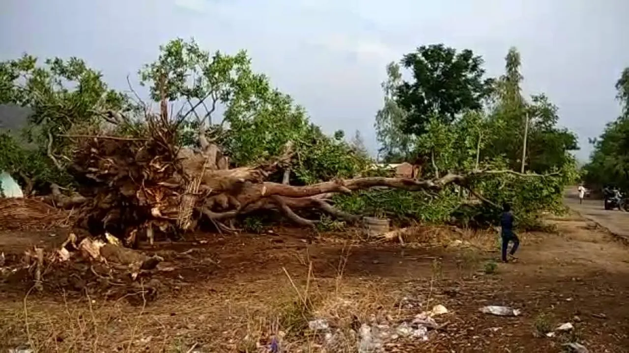 Thunderstorm, lightning kill 6 across Odisha