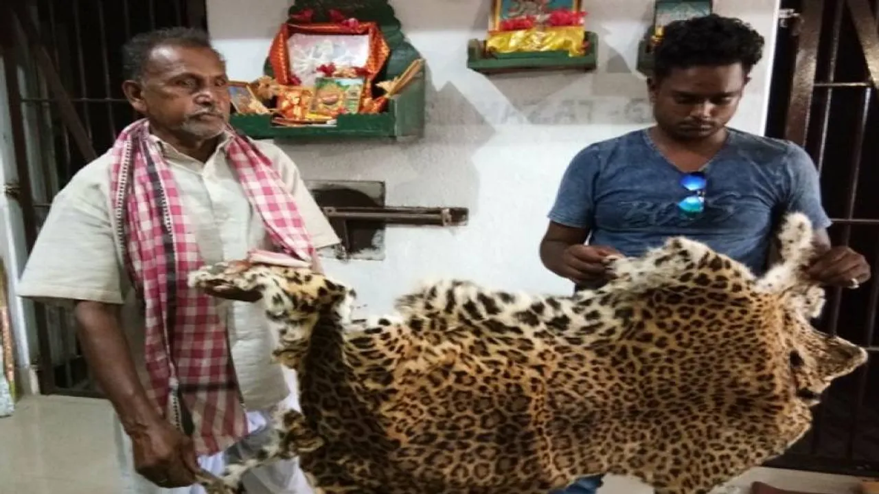 Tiger skin racket busted in Sambalpur