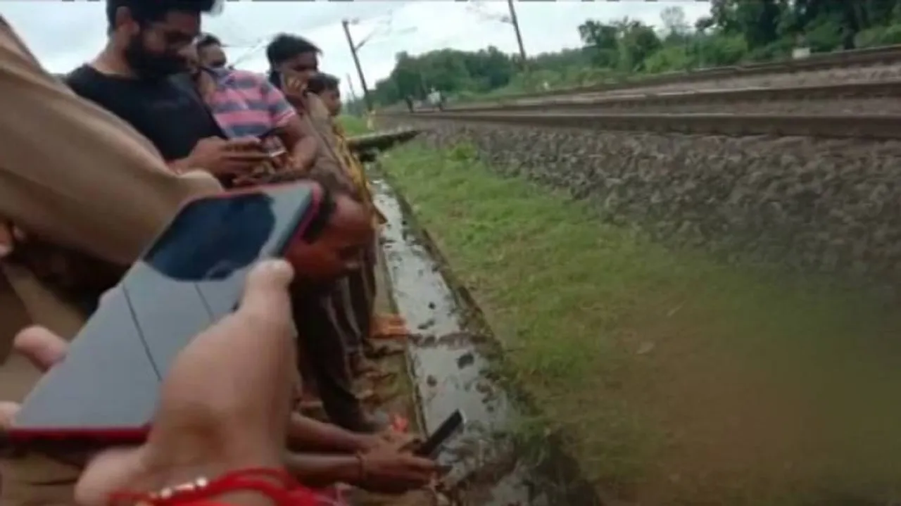 Leopard Carcass Found On Railway Tracks In Odisha