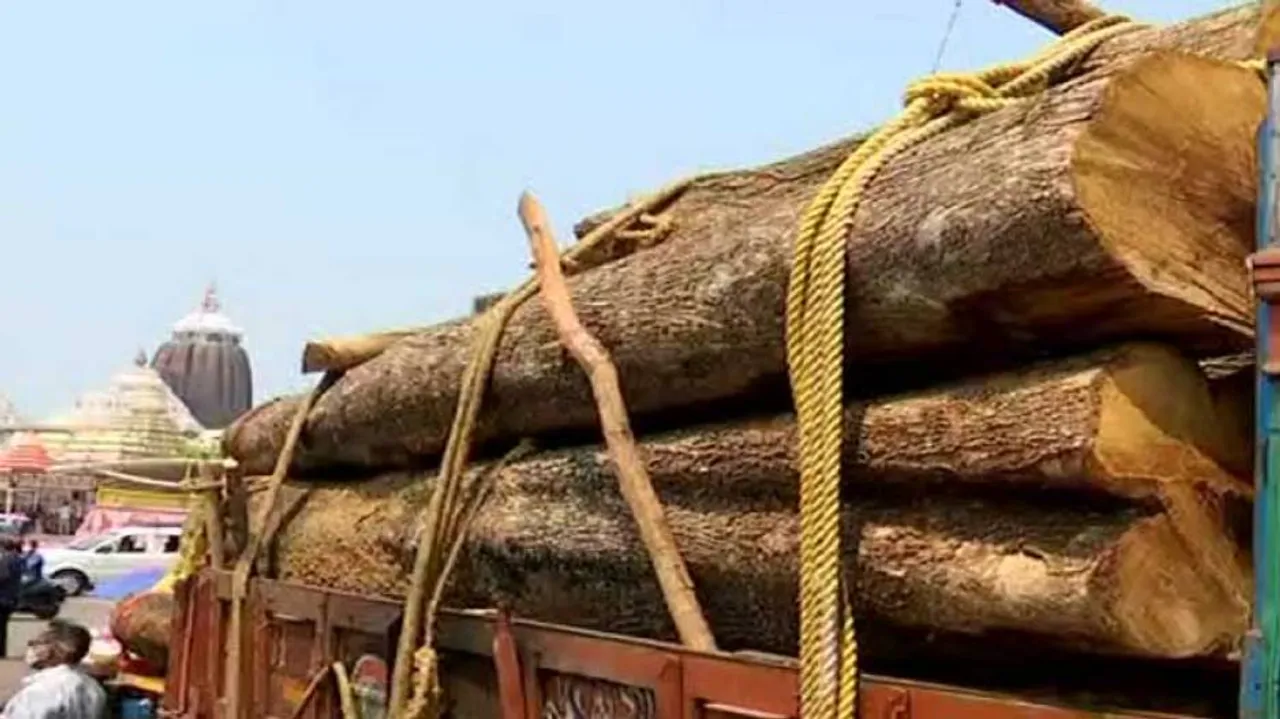 Rath Yatra 2021: Second Batch Of Timber For Chariot Construction Reaches Puri