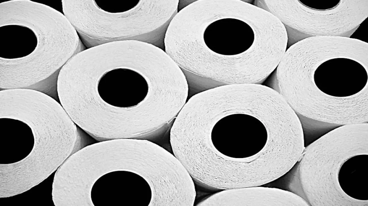 Toilet paper thieves rob 1,500 rolls from China park