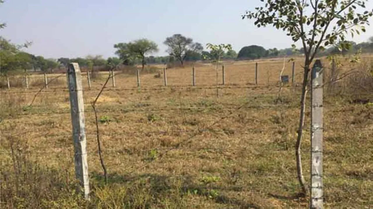 Op-Ed: How to Plant Trees on Thin Air!