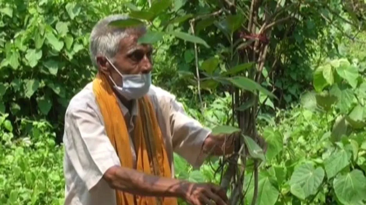 World Environment Day: Meet 7o-year-old ‘Tree Man’ Of Mayurbhanj And His Love For Greenery
