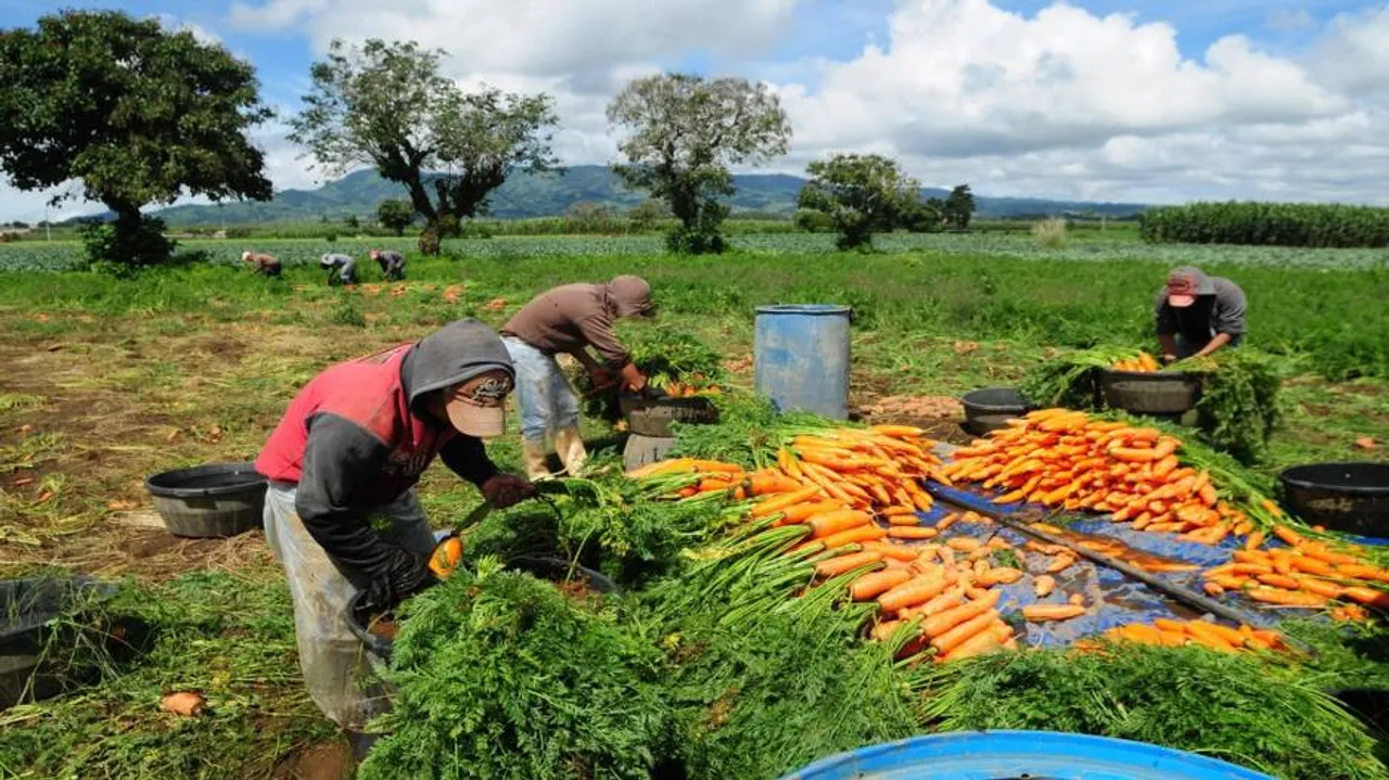 UN agriculture fund to invest over $30m in Tajikistan