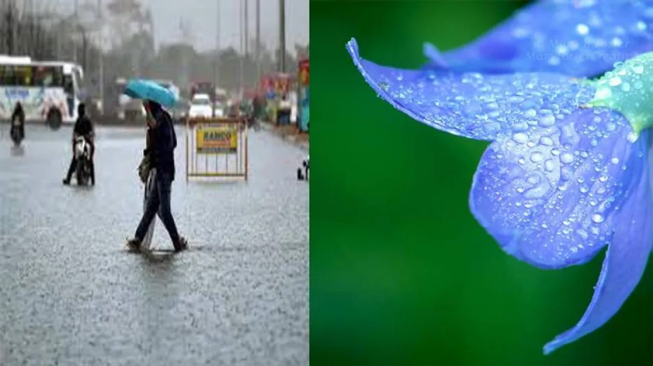 Monsoon withdrawal from Odisha will commence on Oct 16