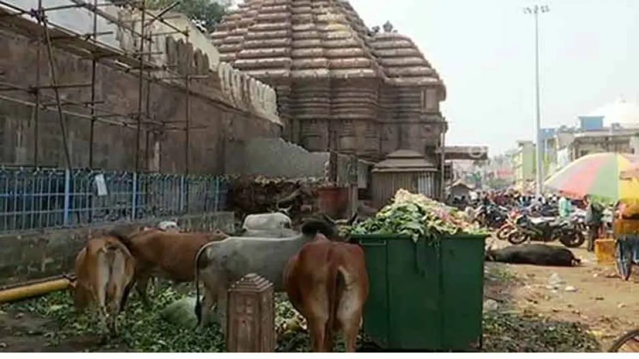 Rath Yatra 2019 : Does Puri have wherewithal to handle 360 MT solid waste on D-Day?