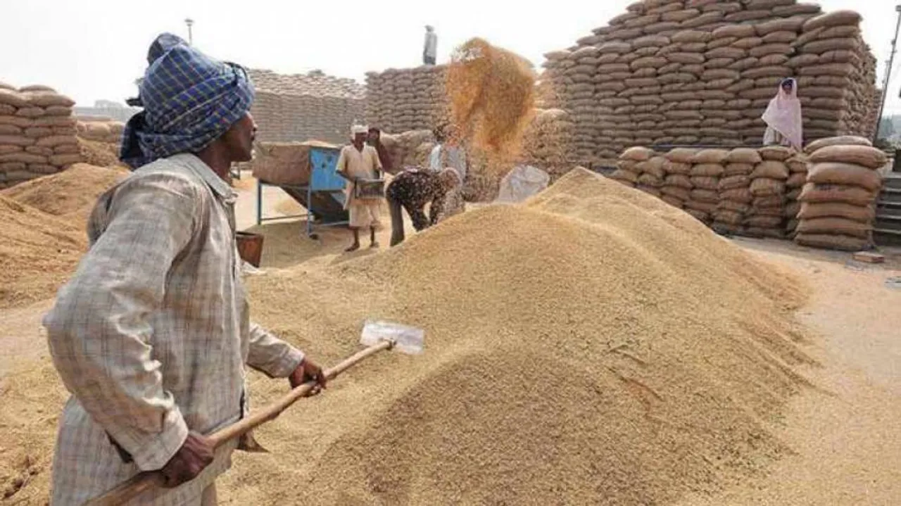 Odisha paradox: Procurement up; farmers benefitting show big drop in 18-19