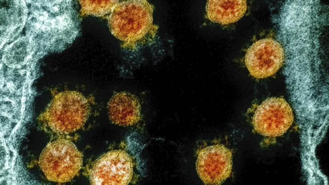 Age Does Not Contribute To Covid-19 Susceptibility