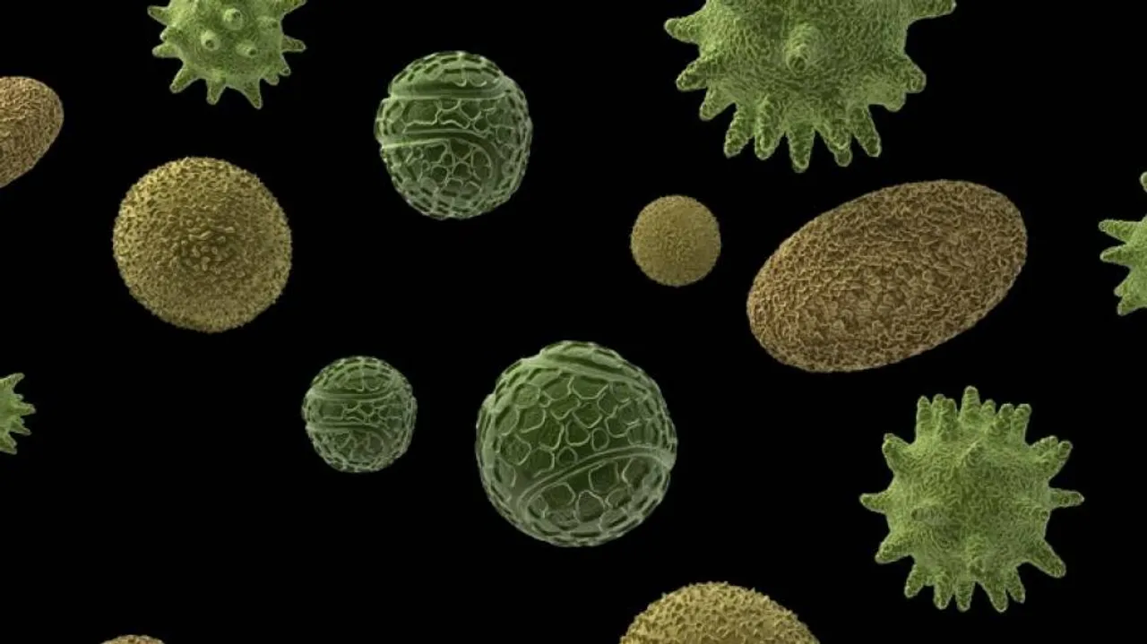 UK Scientists Warn Of 'Miserable Winter' Due To New Respiratory Viruses