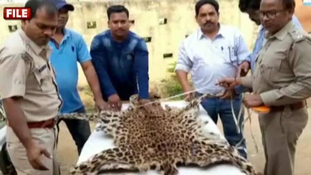 Odisha’s Wildlife Under Threat From International Mafia