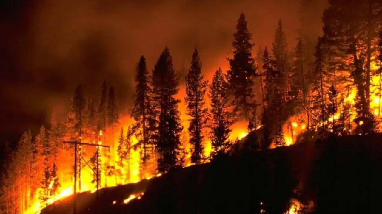 Wildfire In US State Scorches Over 17,600 Acres