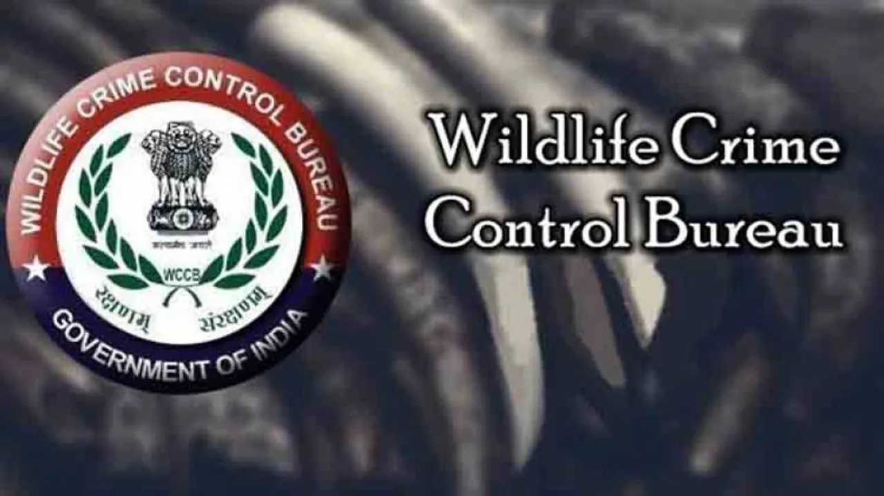 Campaign launched to check wildlife smuggling through airports