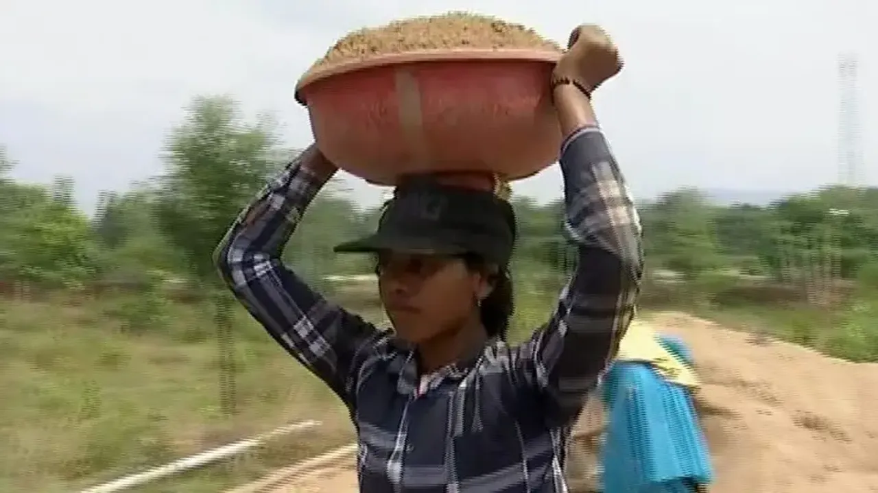 Odisha tribal girl, who topped district in Plus II Commerce, turns labourer to meet education cost