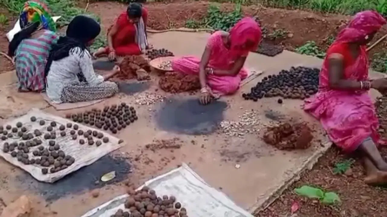 Odisha villagers preparing seed balls to conserve medicinal plants, restore green cover 